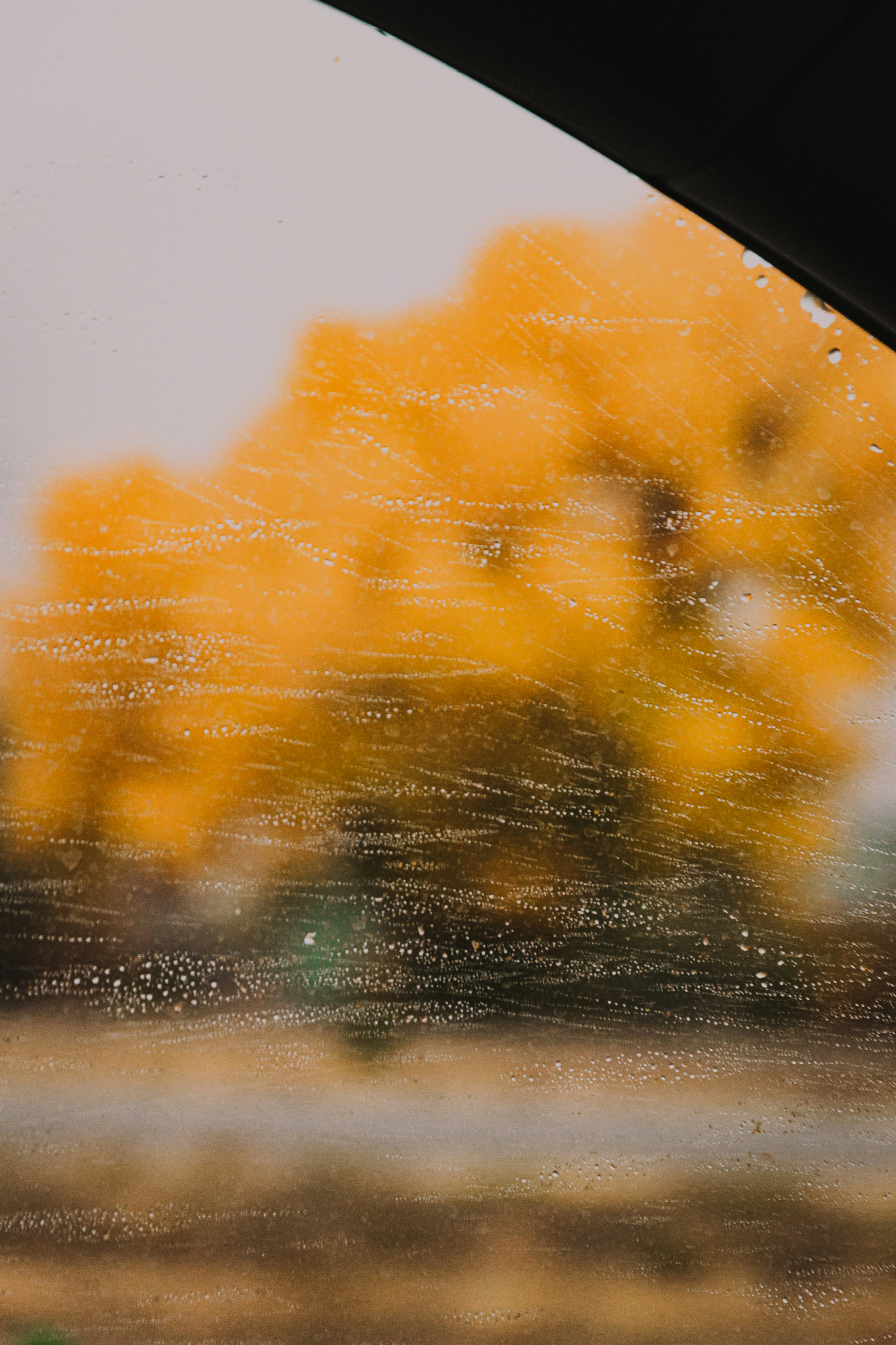 water droplets on glass window